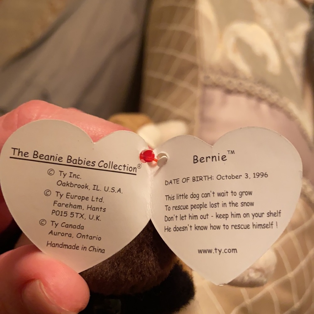 TY Beanie Baby - “Bernie” - Picture 3 of 5